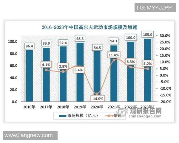 上海羽毛球队实力对比深度剖析与未来发展趋势探讨